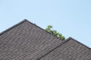 Close-up of a new rooftop with a blue sky above it.