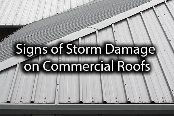Metal commercial roofing with the words, "signs of storm damage on commercial roofs."